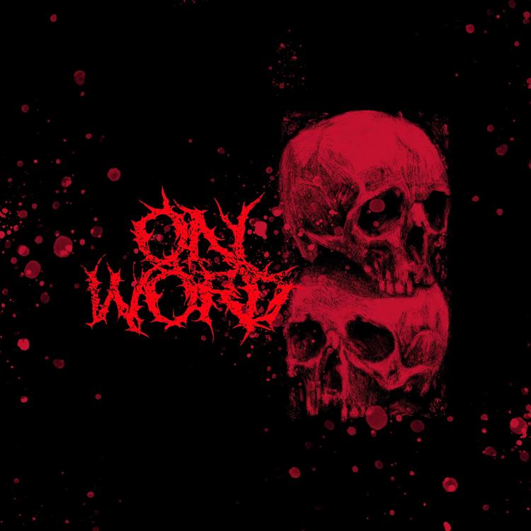 OnWord's avatar image