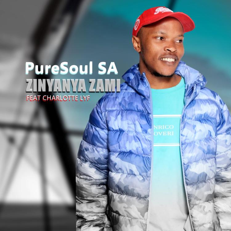 PureSoul SA's avatar image