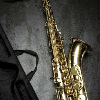 Sexy saxophone's cover