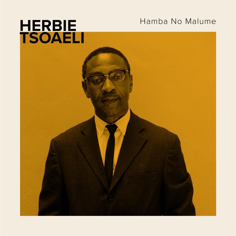 Herbie Tsoaeli's avatar image