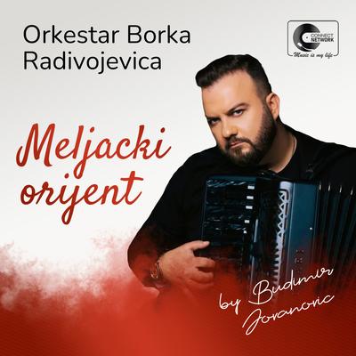 Orkestar Borka Radivojevica's cover