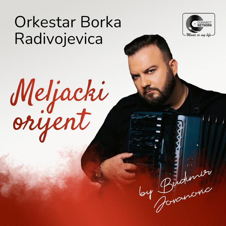 Orkestar Borka Radivojevica's avatar image