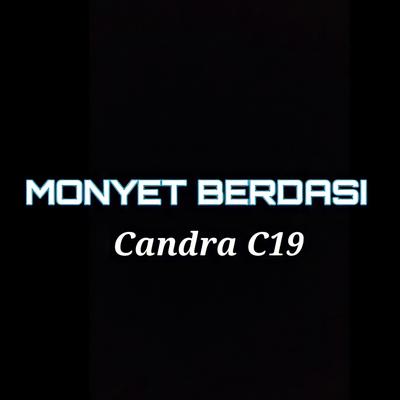 Monyet Berdasi's cover