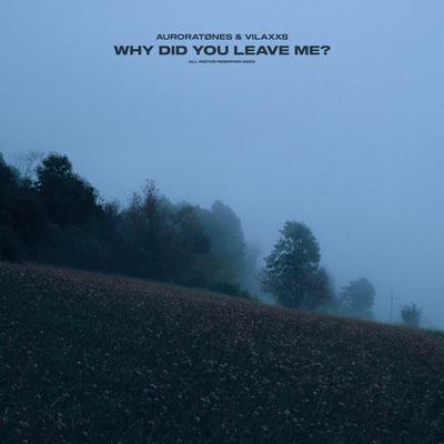 why did you leave me? By auroratønes, Vilaxxs's cover