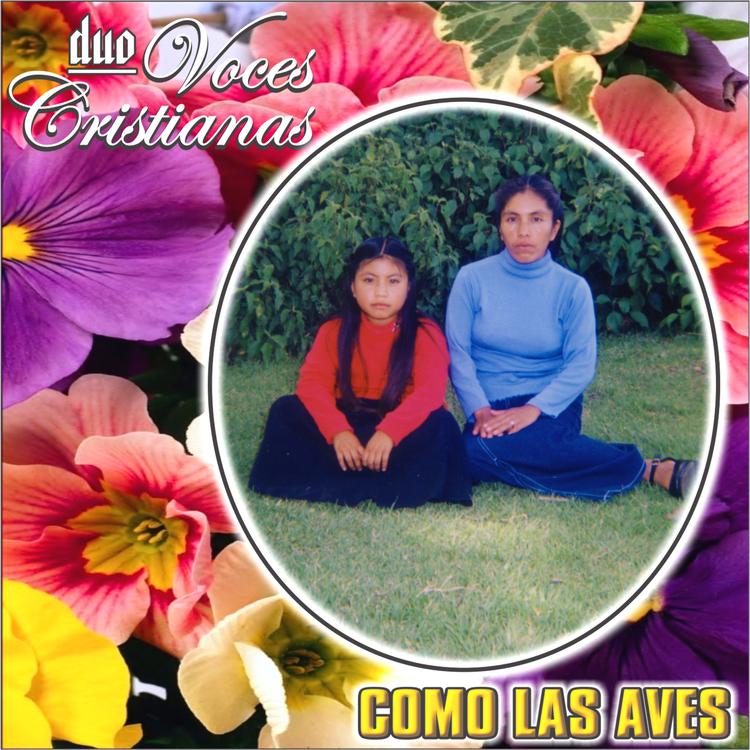 Duo Voces Cristianas's avatar image