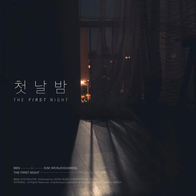 The First Night (Instrumental)'s cover