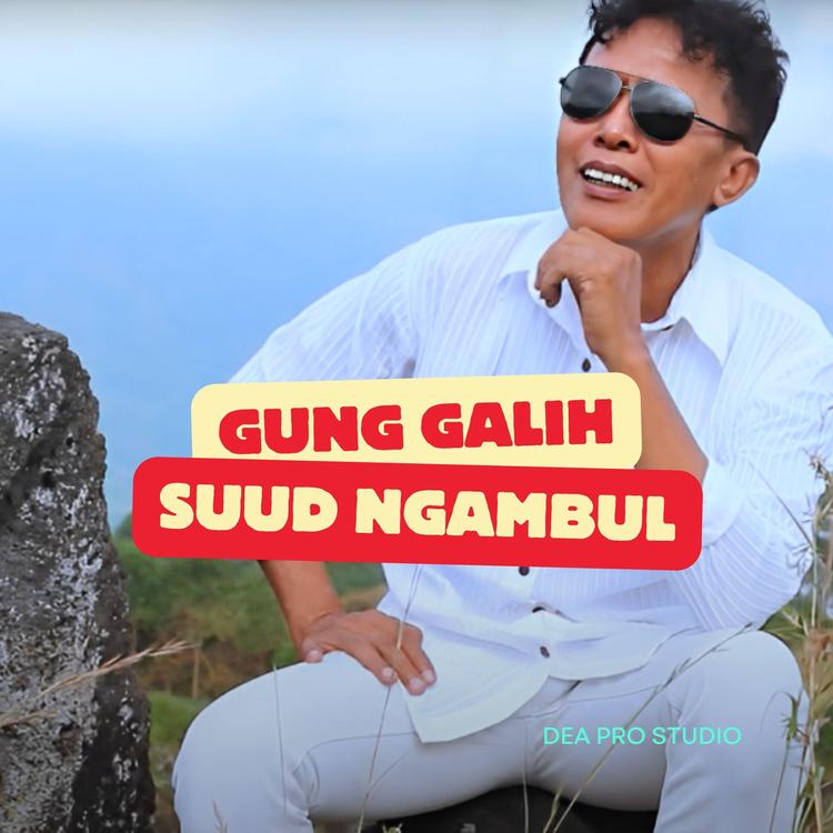 Gung Galih's avatar image