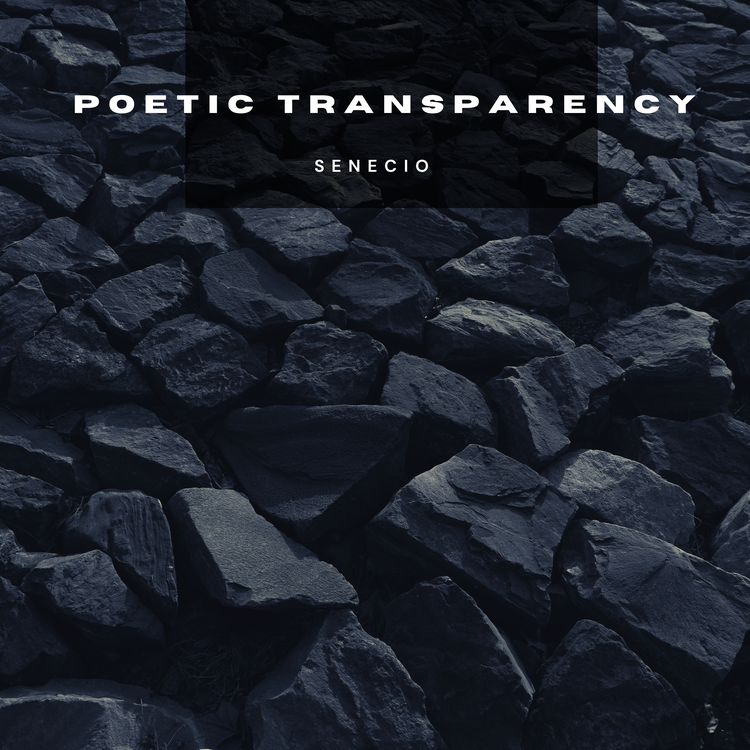 Poetic Transparency's avatar image