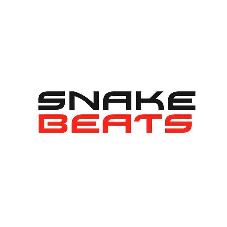 Snake Beats's avatar image