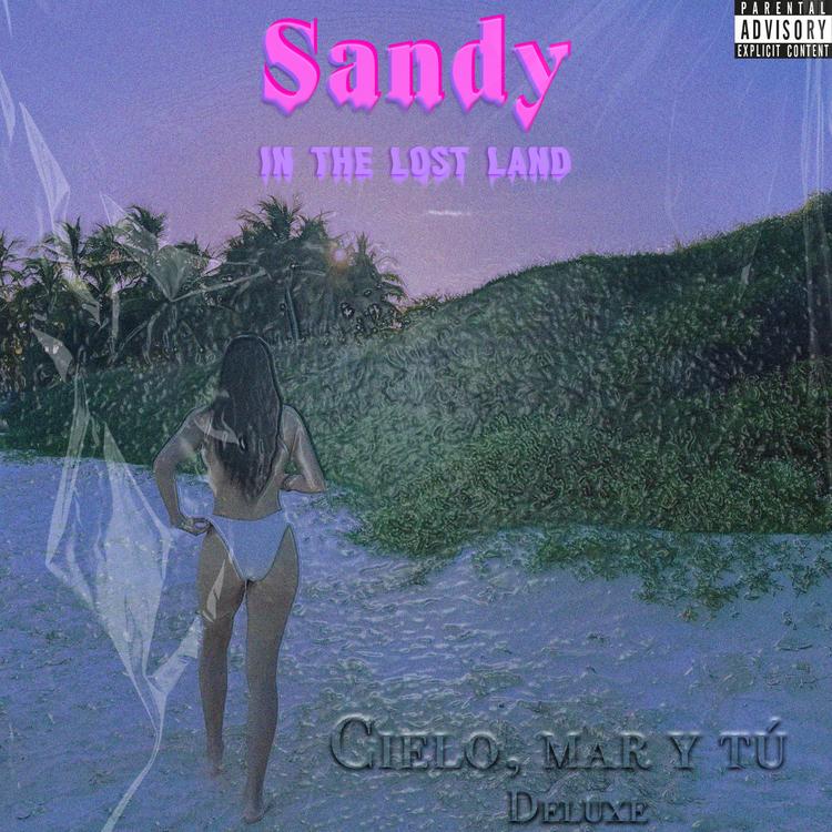 Sandy in the Lost land's avatar image