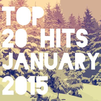 Top 20 Hits January 2015's cover