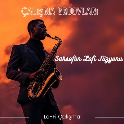 Bilinçli Çalışma's cover