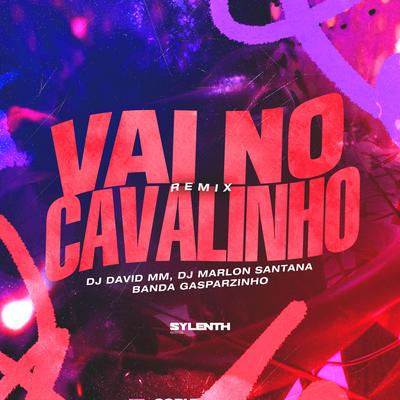 Vai no Cavalinho [Remix]'s cover