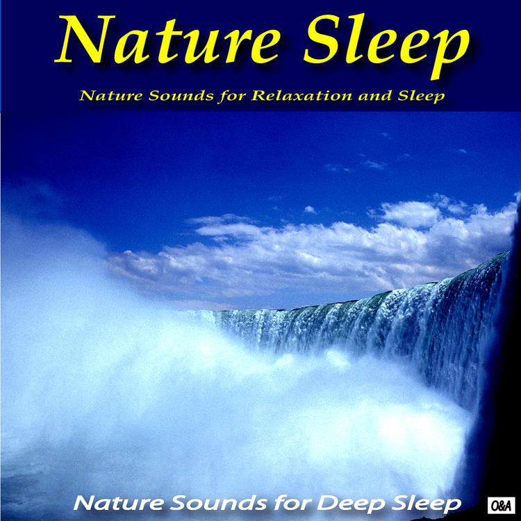 Nature Sounds for Relaxation and Sleep's avatar image