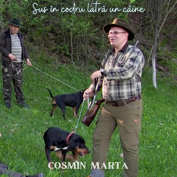 Cosmin Marta's avatar image