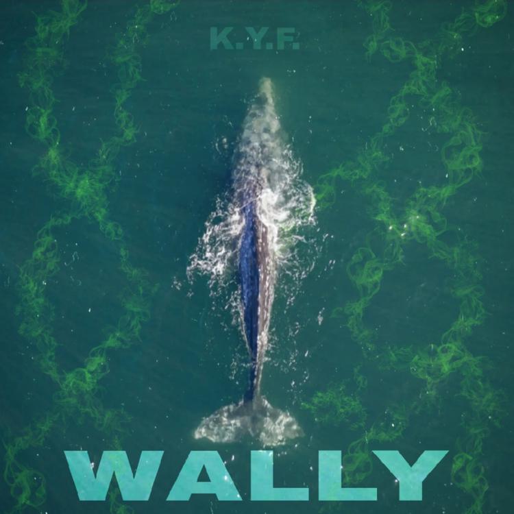 K.Y.F.'s avatar image