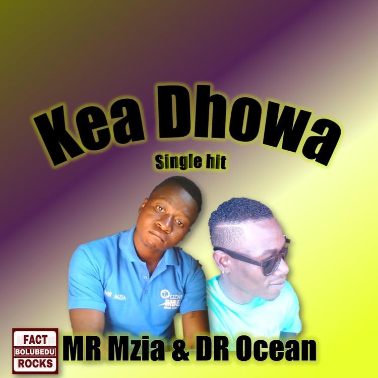 Mr mzia & Dr ocean's avatar image