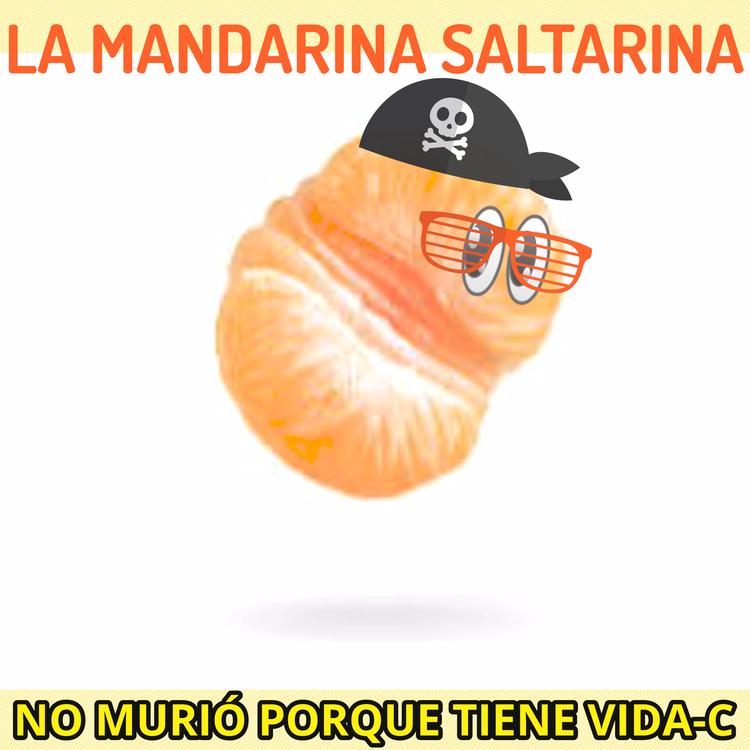 La mandarina saltarina's avatar image