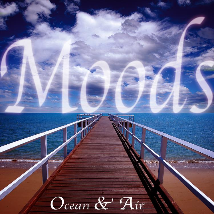 Moods's avatar image