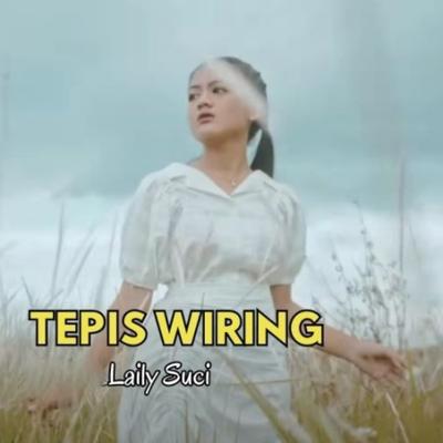 Tipis Wiring's cover