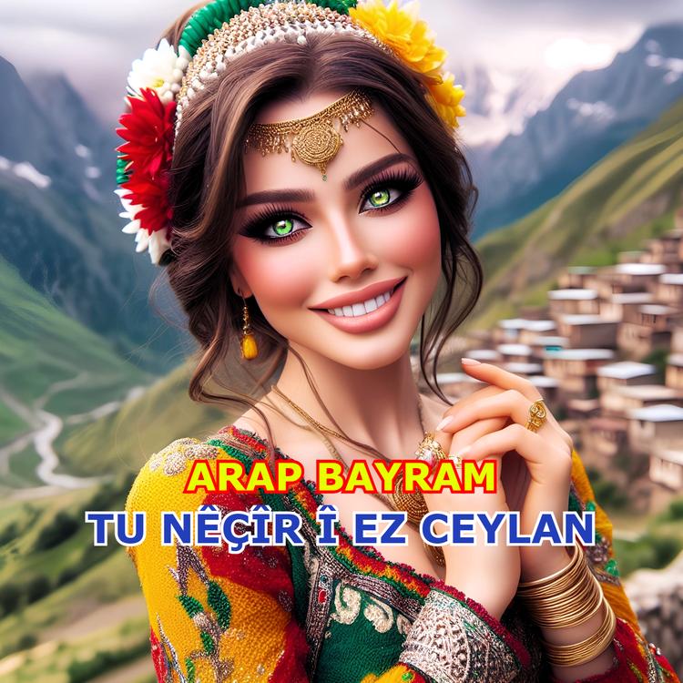 Arap Bayram's avatar image