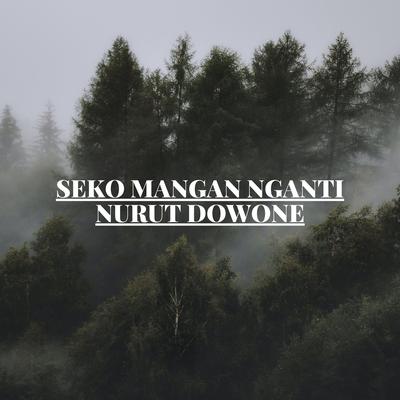 SEKO MANGAN NGANTI NURUT DOWONE's cover