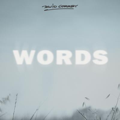 Words's cover