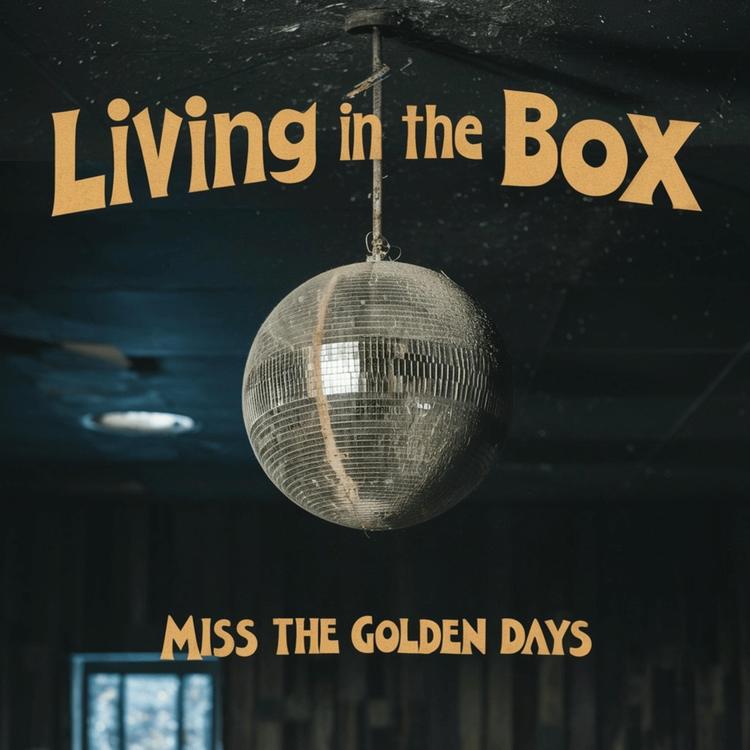 Living in the Box's avatar image