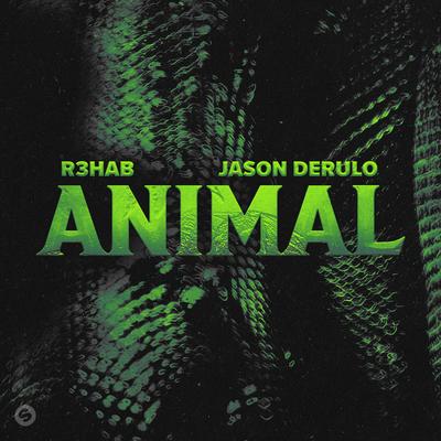 Animal By R3HAB, Jason Derulo's cover