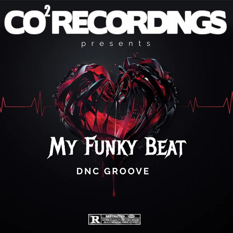 DnC Groove's avatar image