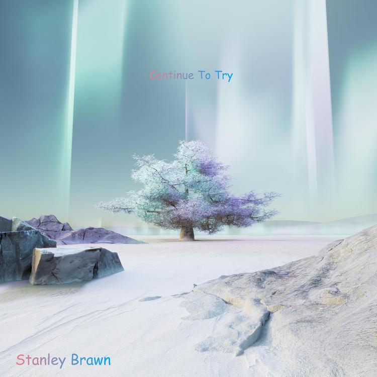 Stanley Brawn's avatar image