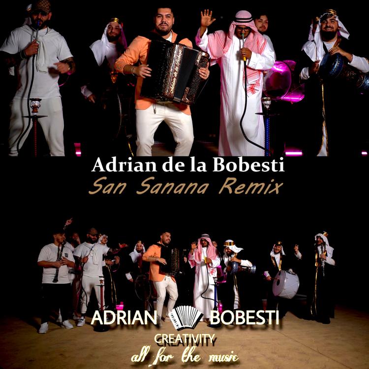 Adrian de la Bobesti's avatar image