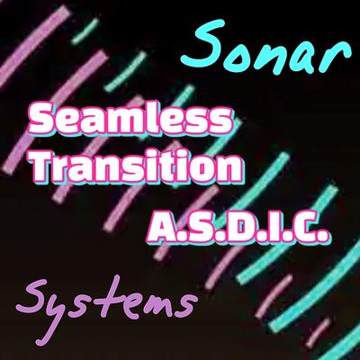 Seamless Transition's cover