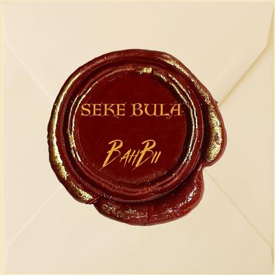 Seke bula's cover