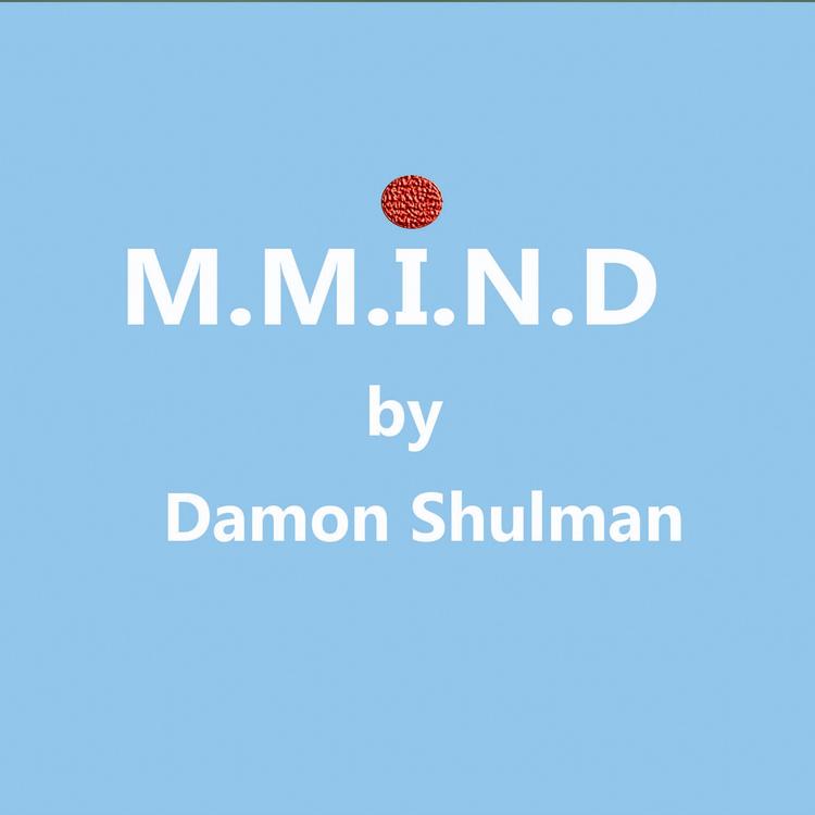 Damon Shulman's avatar image