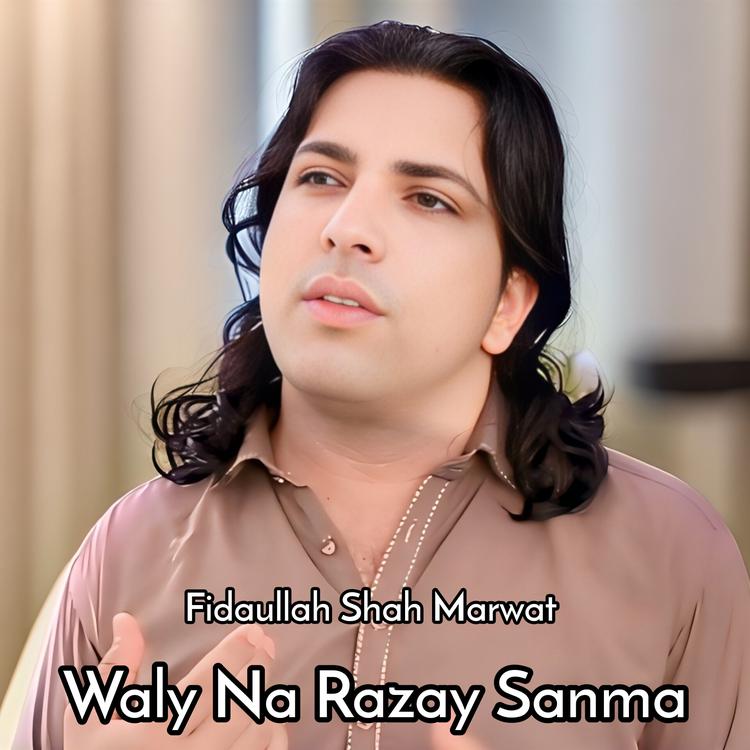 Fidaullah Shah Marwat's avatar image