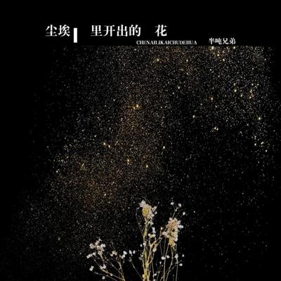 尘埃里开出的花 (伴奏)'s cover