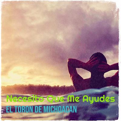 El Toron De Michoacan's cover