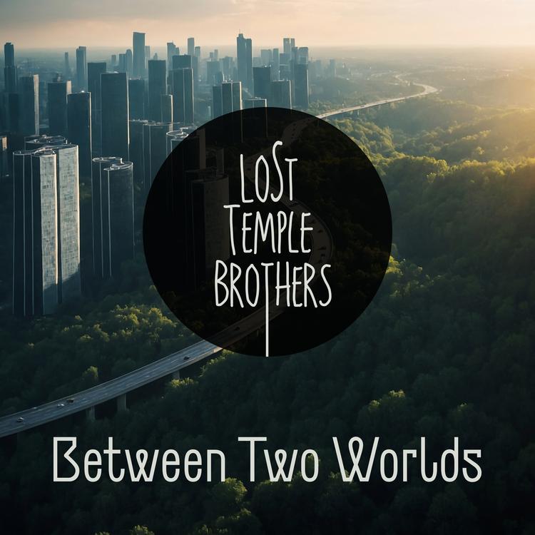 Lost Temple Brothers's avatar image