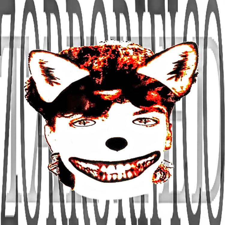 Foxer's avatar image