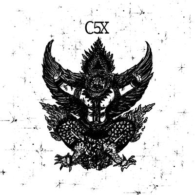C5X's cover