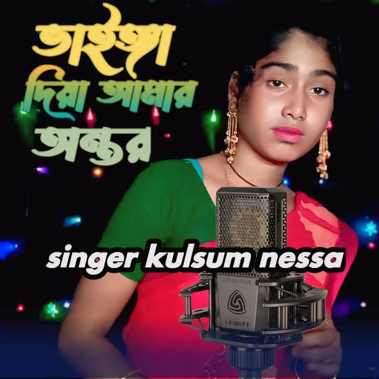 kulsum nessa's avatar image