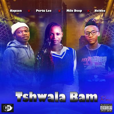 Tshwala Bam _Hip Hop Remake's cover