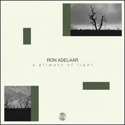 A Glimpse Of Light By Ron Adelaar's cover