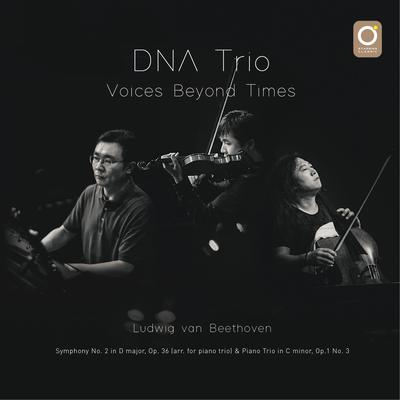 Piano Trio in C Minor, Op. 1 No. 3: I. Allegro con brio By DNA Trio's cover