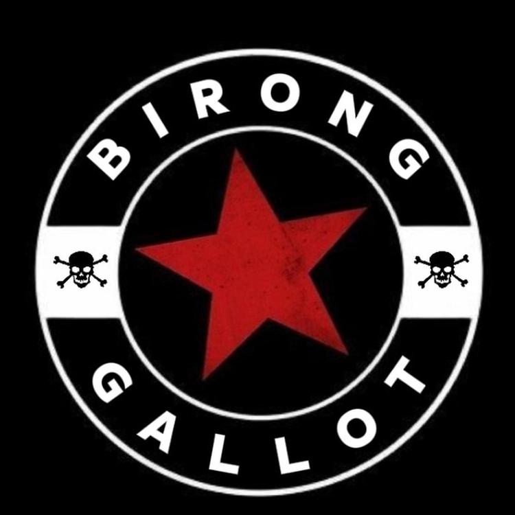 Birong gallot's avatar image
