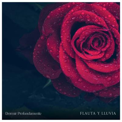 Flauta y Lluvia's cover