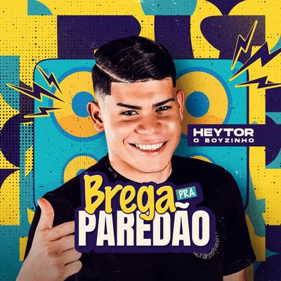 Desejos - Ao Vivo By Heytor O Boyzinho's cover