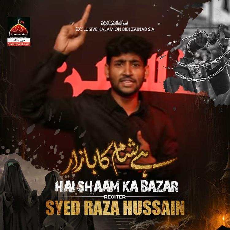 Syed Raza Hussain's avatar image