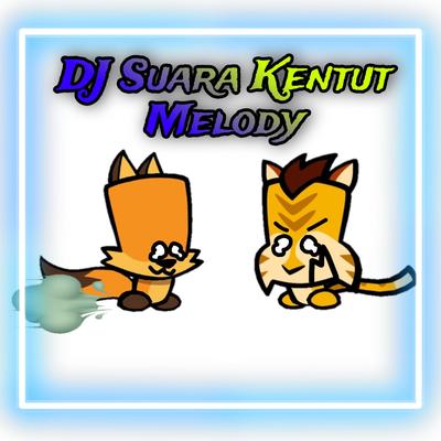 DJ Suara Kentut Melody's cover